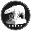 American North Russia Expeditionary Force